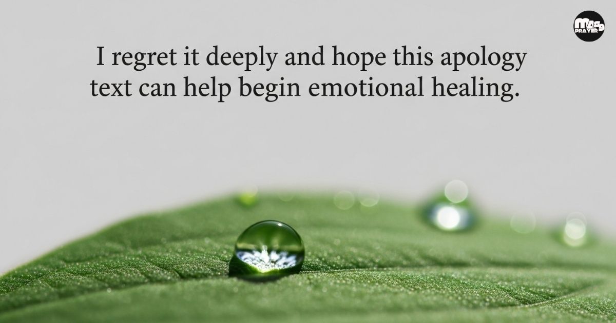 Best Way To Say Sorry In A Text