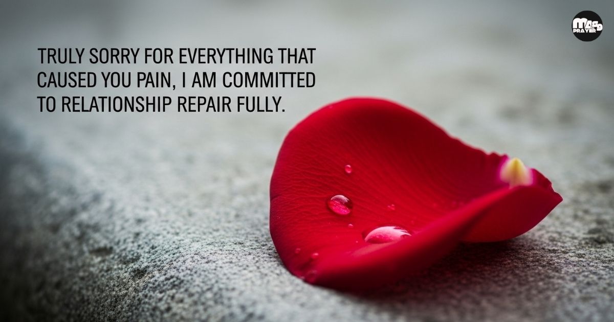 I Am Sorry For Everything Quotes