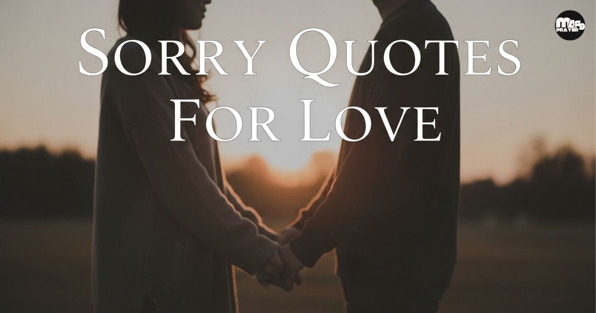 Sorry Quotes For Love